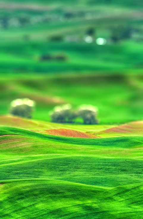 Nature Green Grass CB Picsart Editing Background Full HD