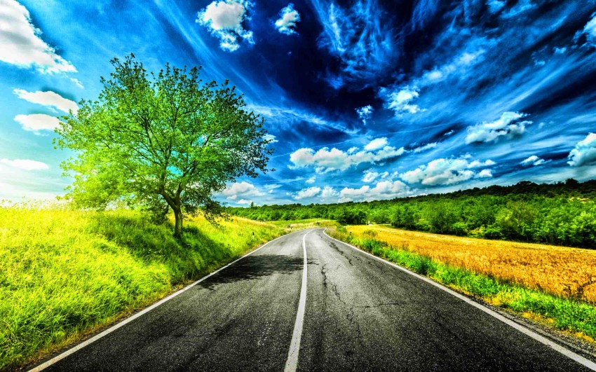 Nature Green Tree  Road Background  Full HD   Download Free