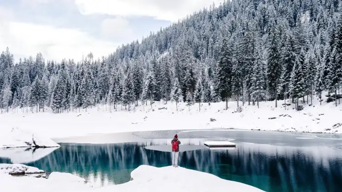 Nature Lake Winter Forest Background HD Wallpapers