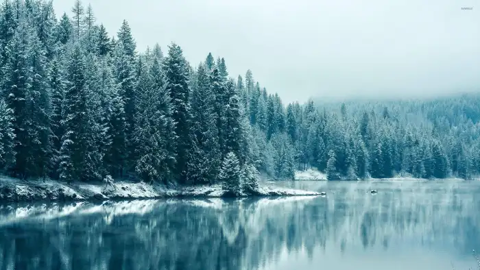 Nature Lake Winter Forest Background HD Wallpapers