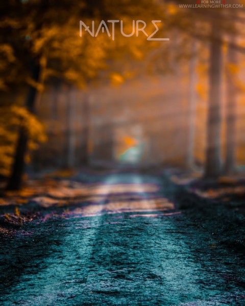 Nature Picsart CB Background