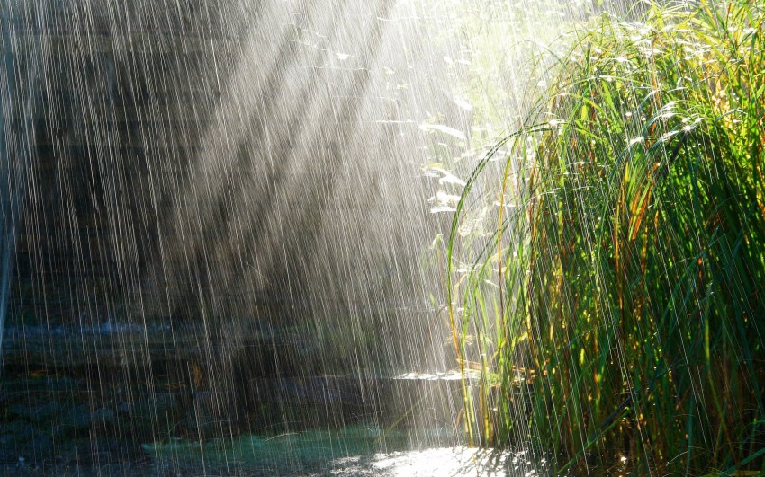 Nature Rain HD Background Download