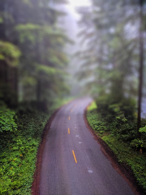 Nature Road CB Picsart Editing Background HD Download