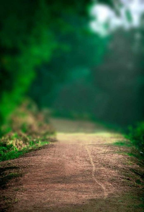 Nature Road Picsart Background For CB  Editing