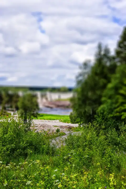 Nature Sky With Tree  Editing Background HD Download