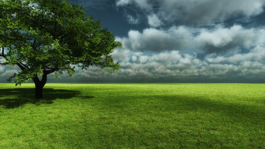 Nature Tree Grass Field Background HD Download