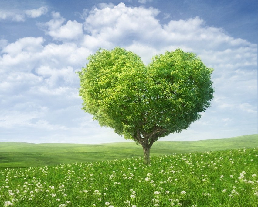 Nature Tree Heart Shape Background HD Download