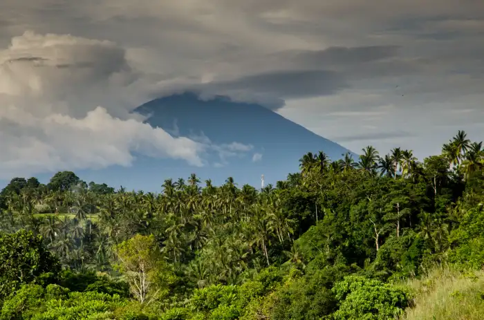 Nature Urban Jungle Green Mountain Forest Background