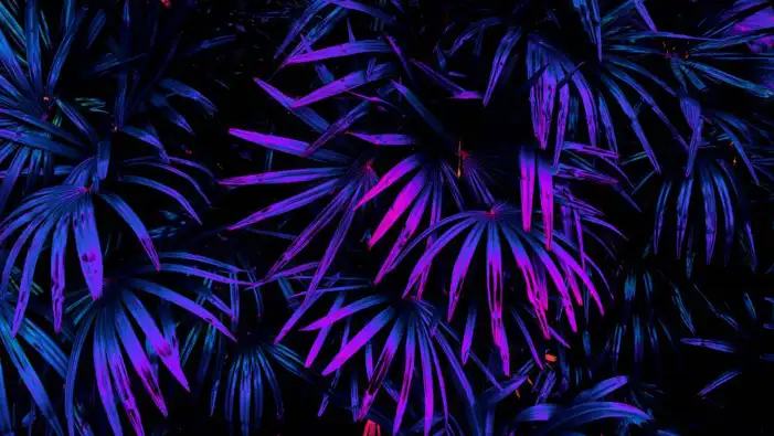 Neon Purple Leaf Background