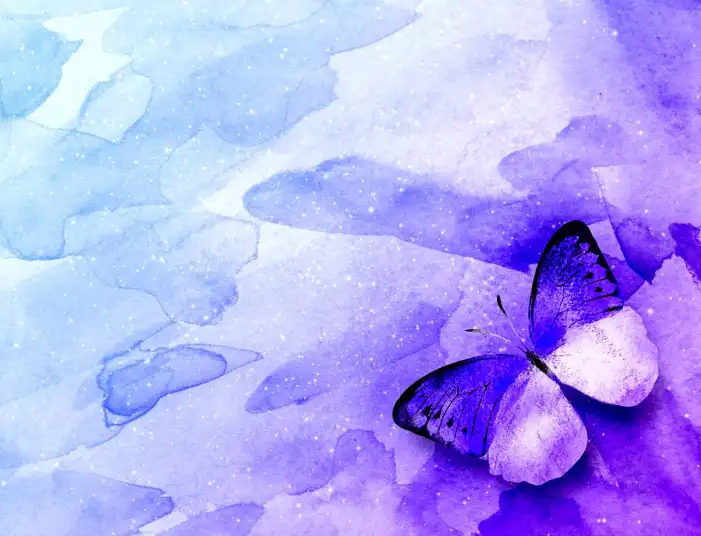 New Butterfly Background HD Images