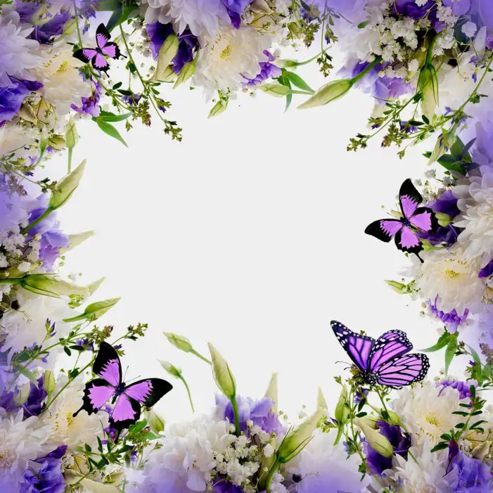 New Butterfly Background HD Images