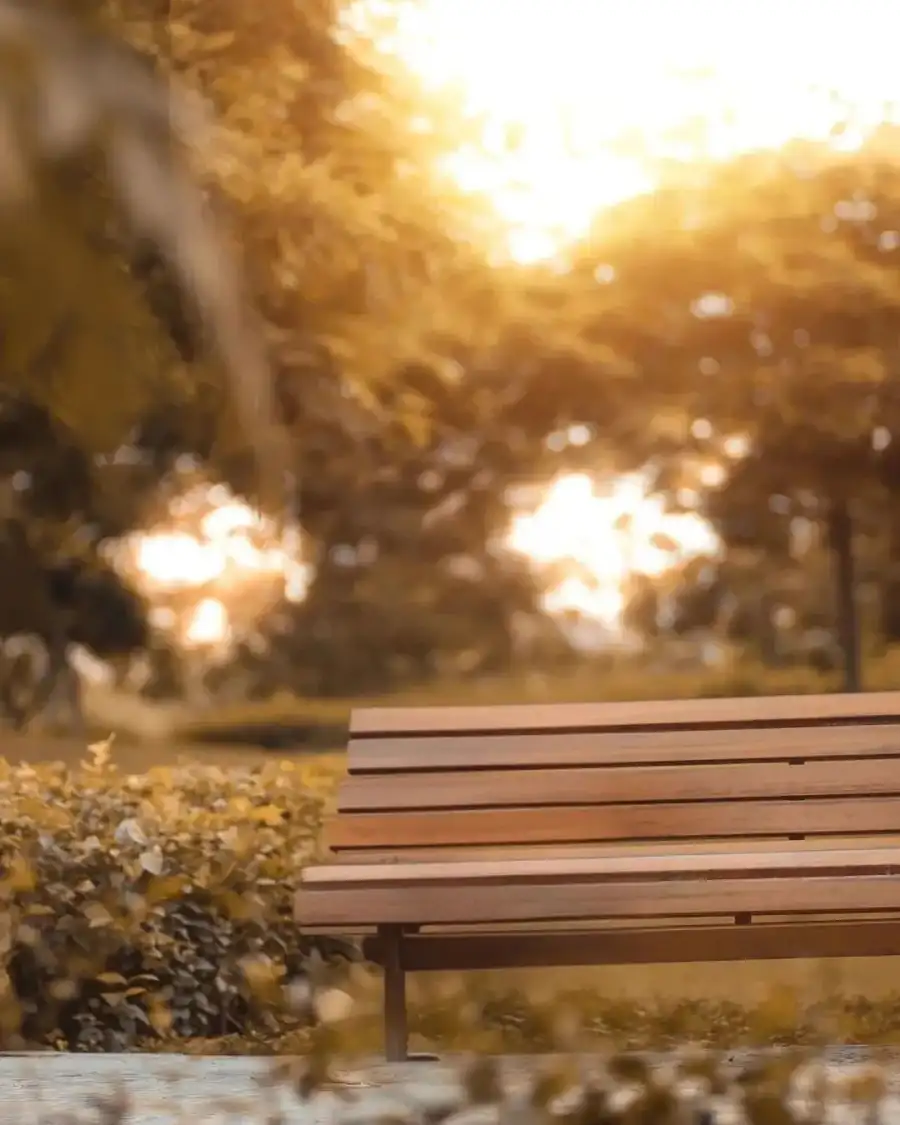 New CB Bench In A Park Background