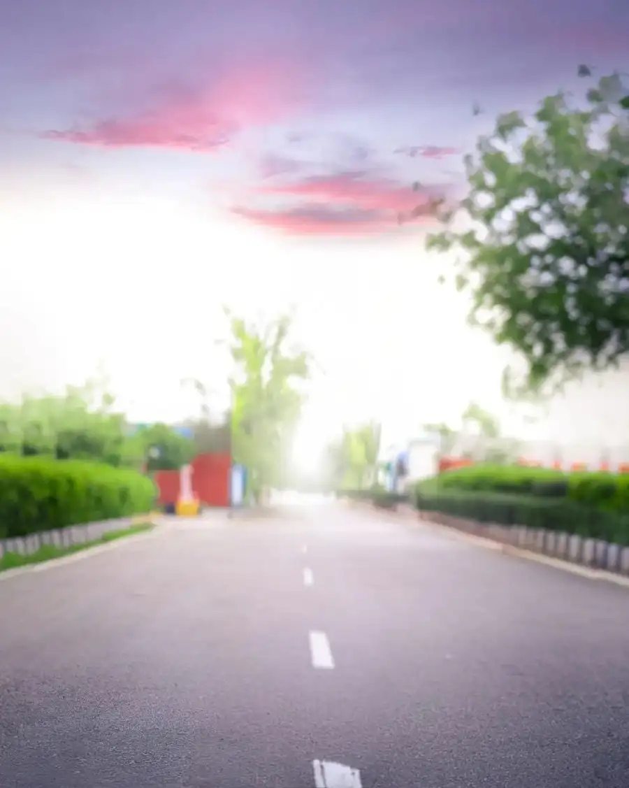 New CB Road With Trees And Bushes On The Side Background