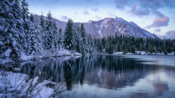 New Lake Winter Forest Background HD Wallpapers