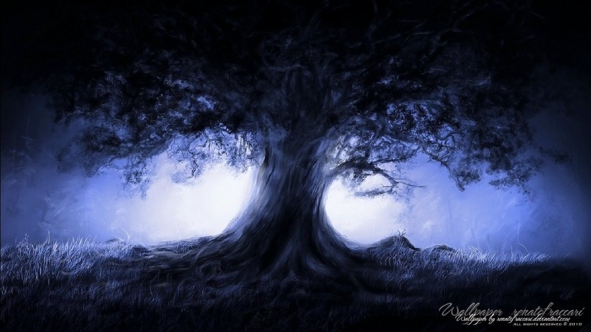 New Latest Single Tree Background HD Download