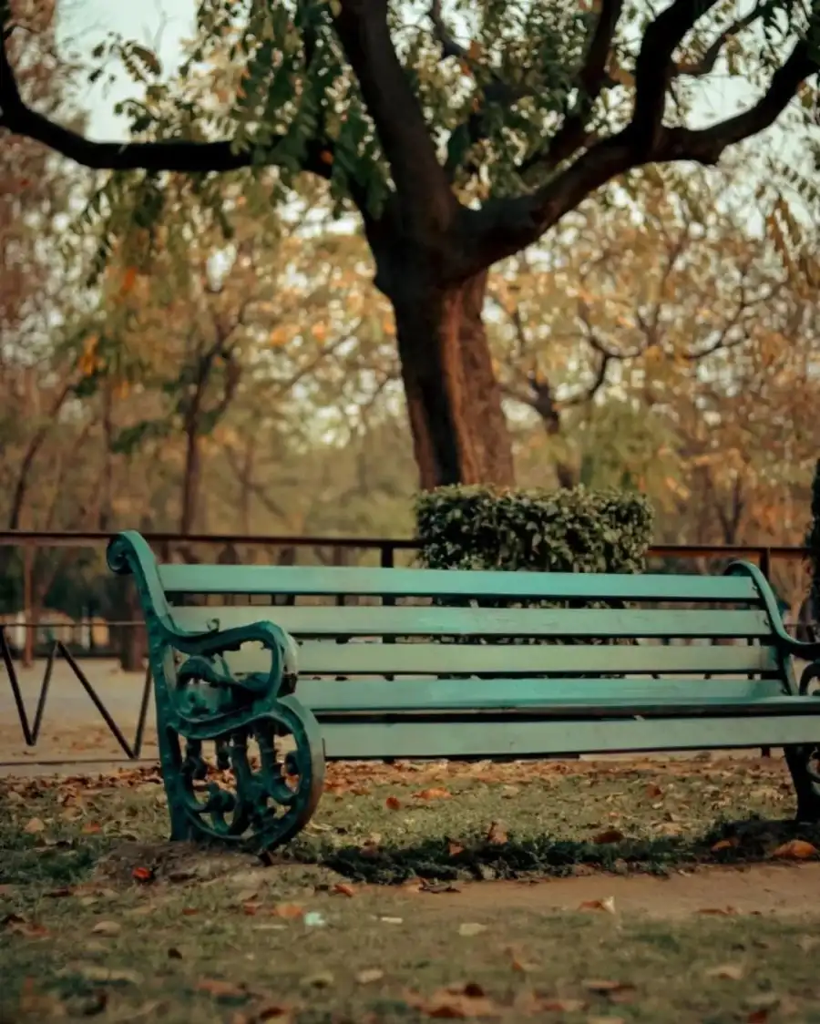 New Photo Editing Bench In A Park Full HD  Background