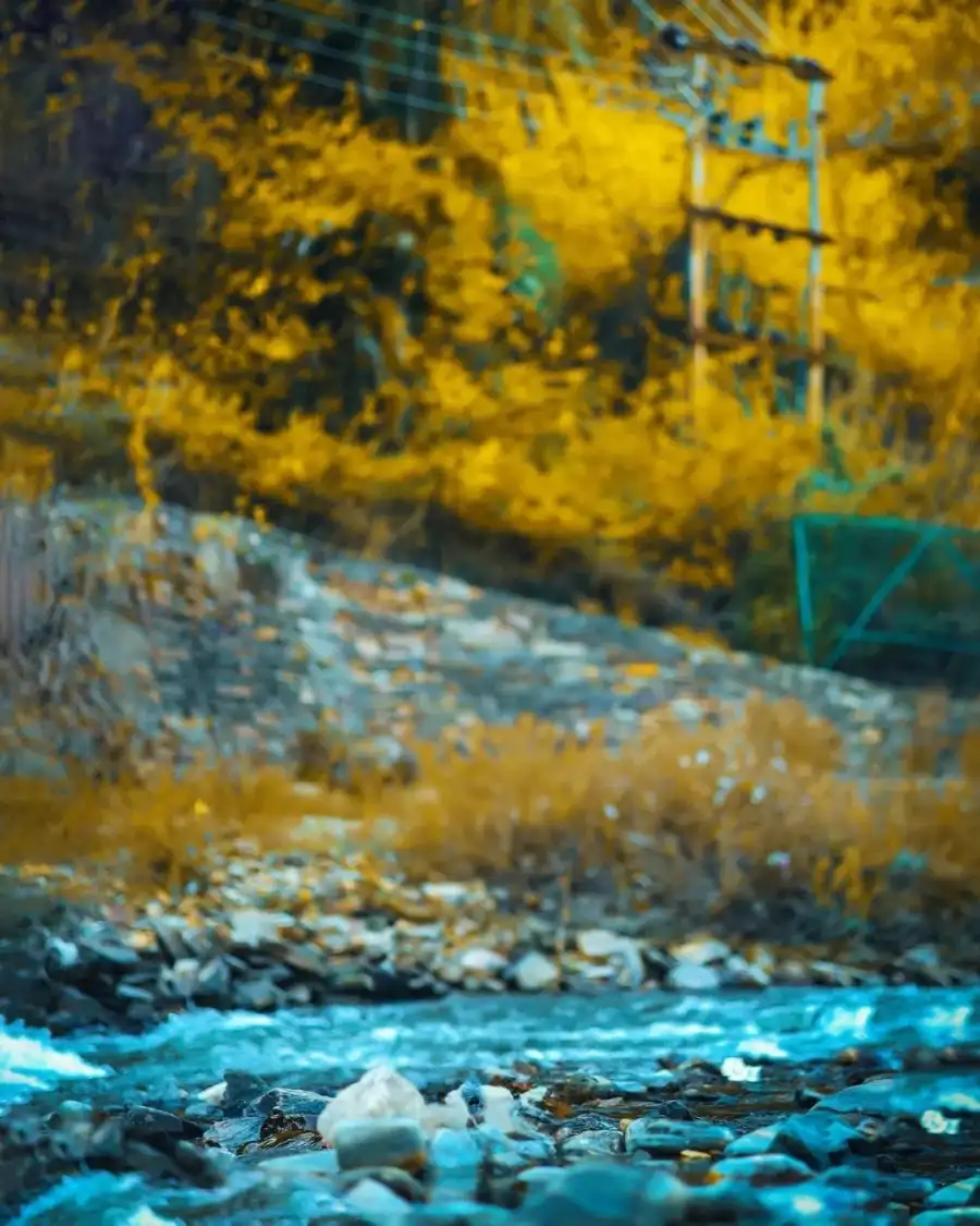 New Photo Editing River With Yellow Leaves Background