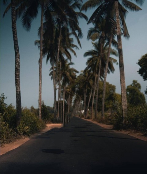 Road New Vijay Mahar Background