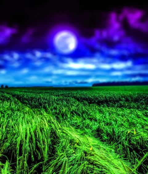 Night Moon Grass CB Picsart Editing Background Full HD