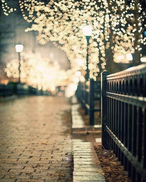 Night Outdoor Picsart Background Download