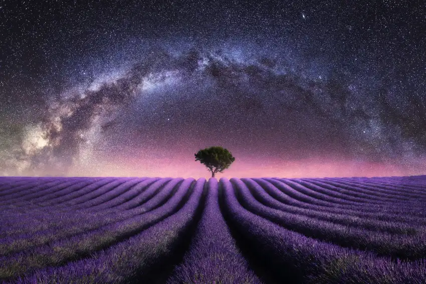 Night Sky Lavender Field Background HD Download