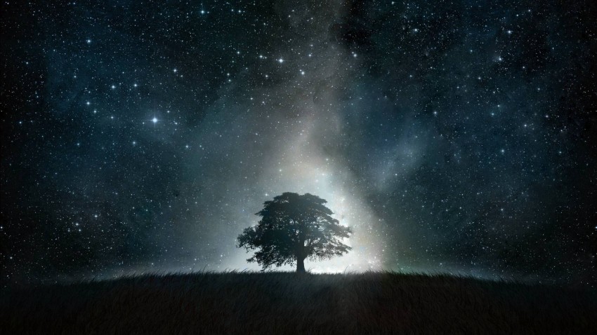 Night Sky With Tree Background HD Download Free