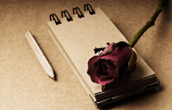 Notebook Rose Paper Background HD Images