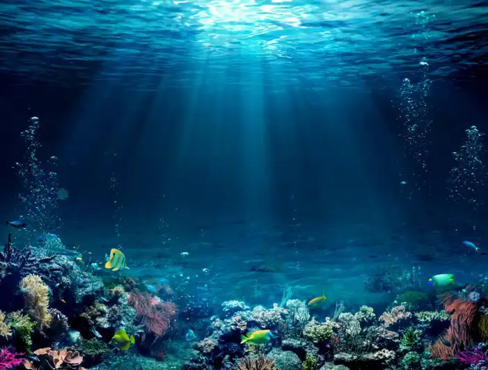 Ocean Underwater Dark Background HD Images