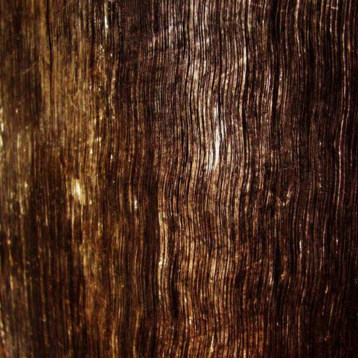 Old Tree Wood Background Free Wallpaper