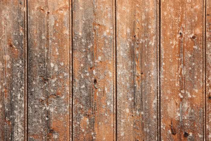 Old Wood Grain Cute Background Free Wallpaper