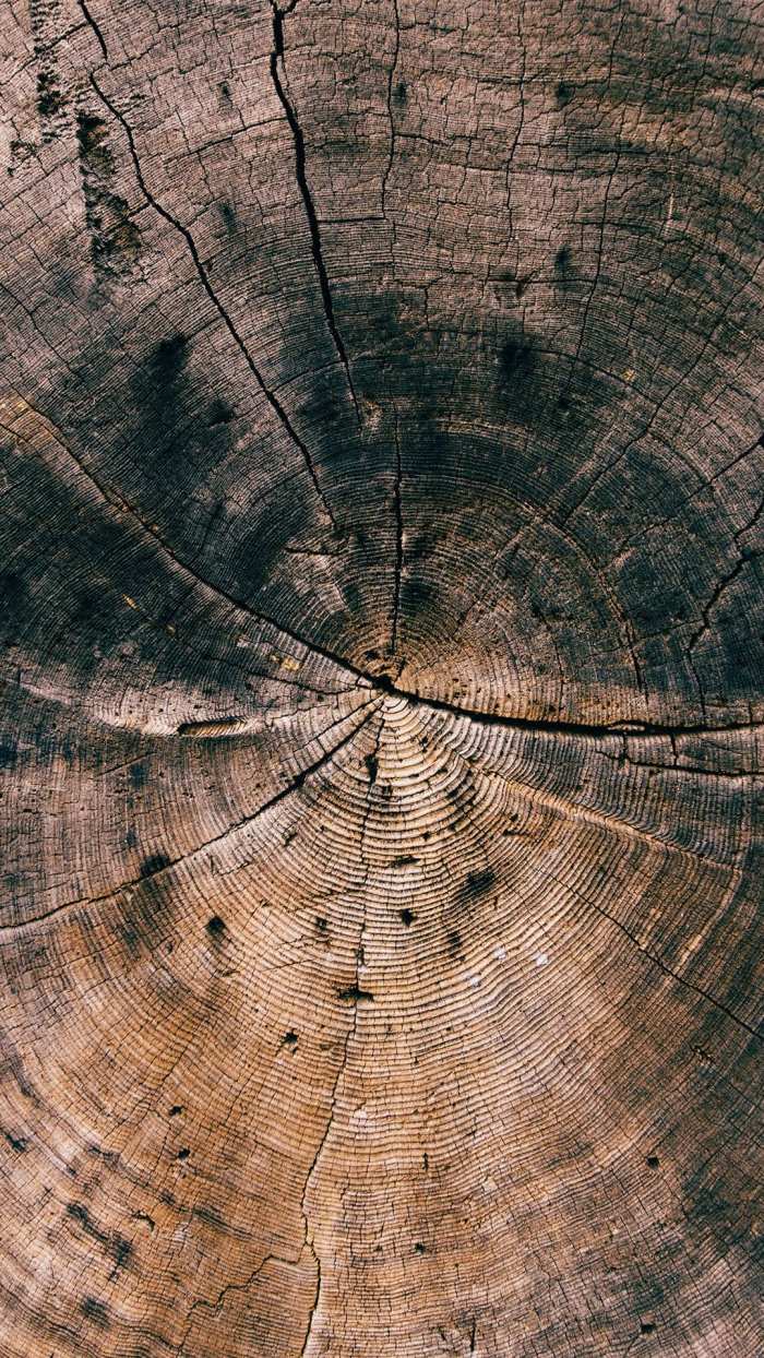 Old Wood Grain Cute Background Free Wallpaper