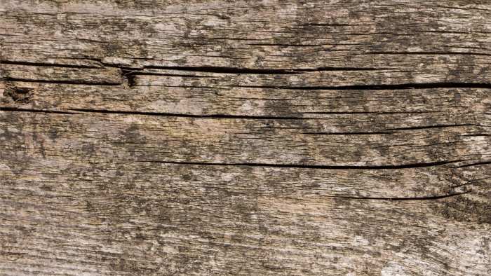 Old Wood Natural Background Free Wallpaper