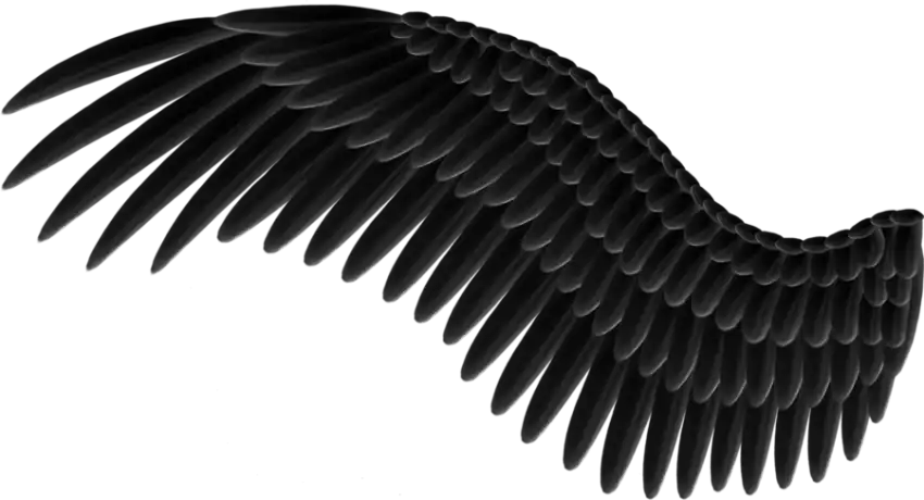 One Side Half Wings PNG Images Download