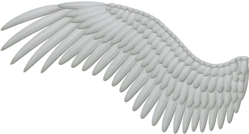 One Side Wings PNG  HD Background Download