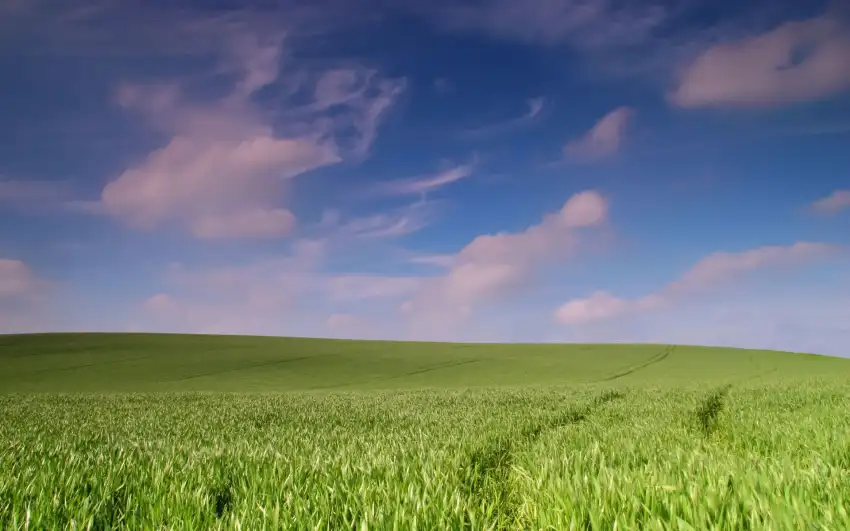 Open Field Background Wallpaper Full HD Download