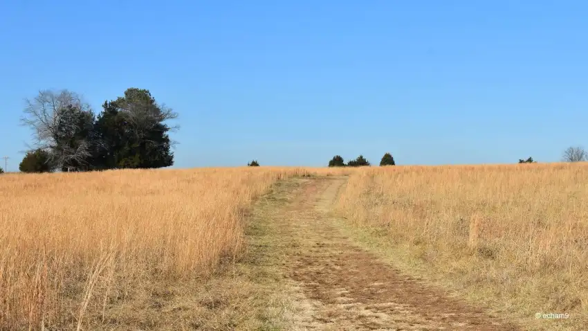 Open Field Background Wallpaper HD Images Download