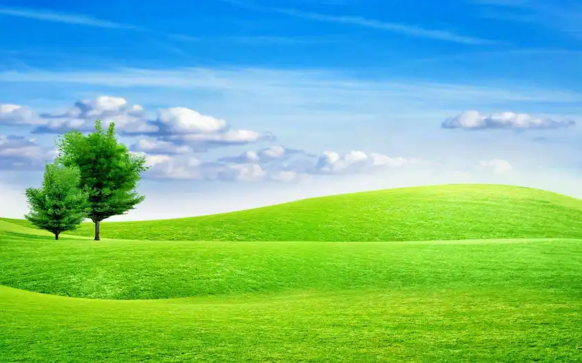 Open Field Background Wallpaper HD Images Download