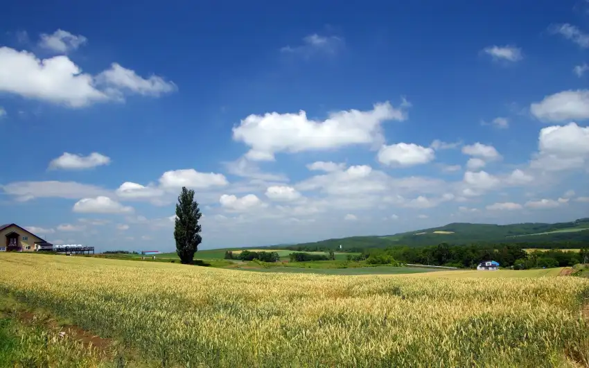 Open Field Dark Sky Background Wallpaper HD Download