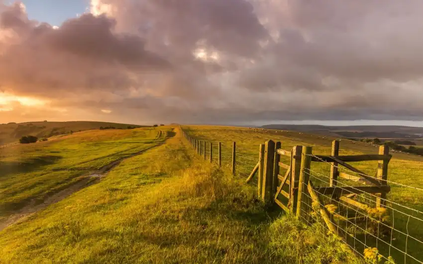 Open Field Editing Background Wallpaper HD Download