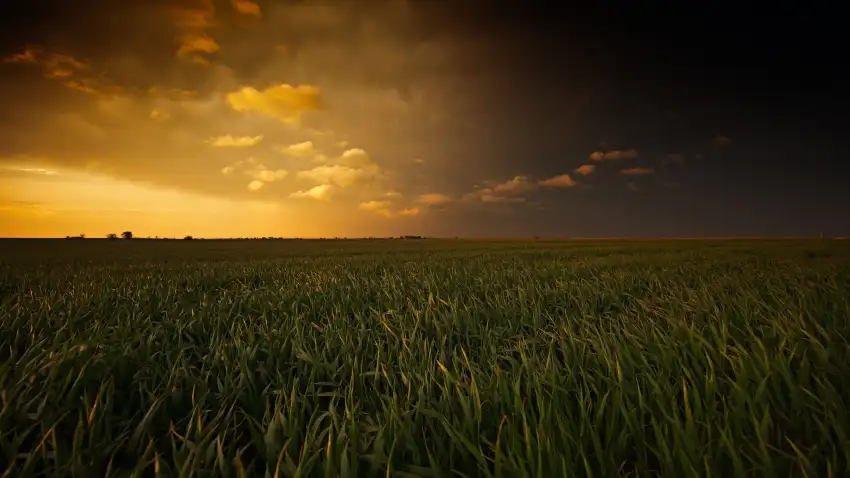 Open Field With Sky Background Wallpaper HD Download