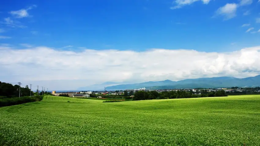 Open Field With Sky Background Wallpaper HD Download