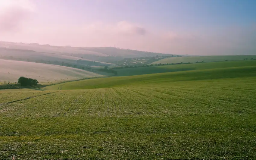 Open Field With Sky Background Wallpaper HD Download