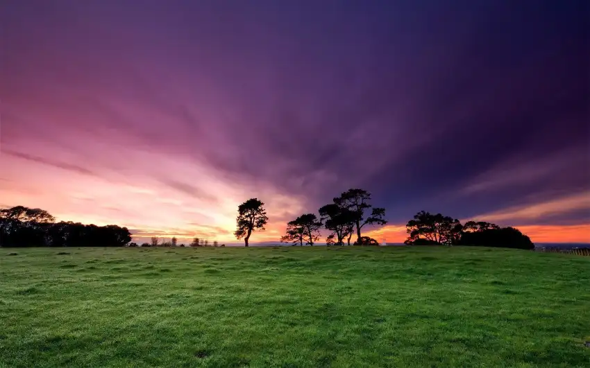 Open Field With Sky Background Wallpaper HD Download