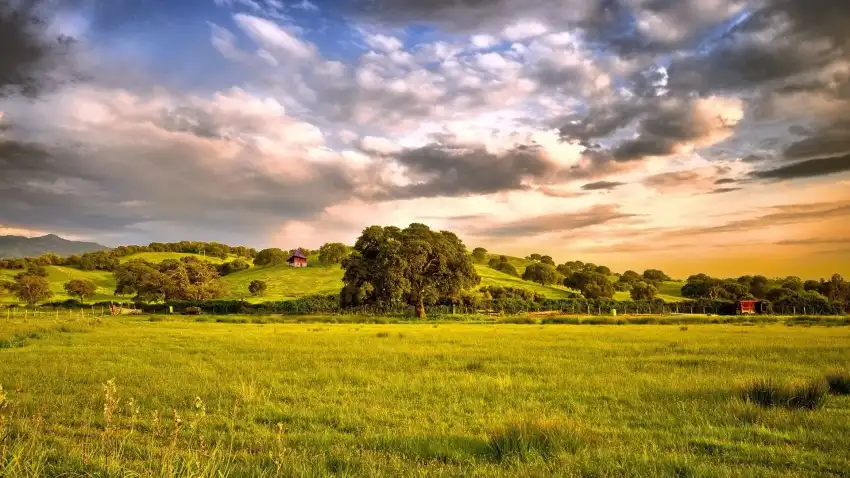 Open Field With Sky Background Wallpaper HD Download