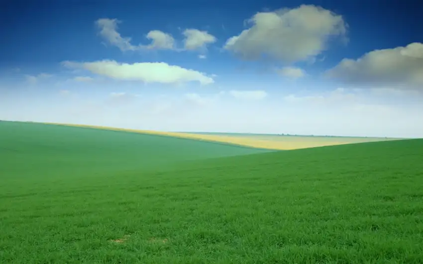 Open Green Sky Field Background Wallpaper HD Download