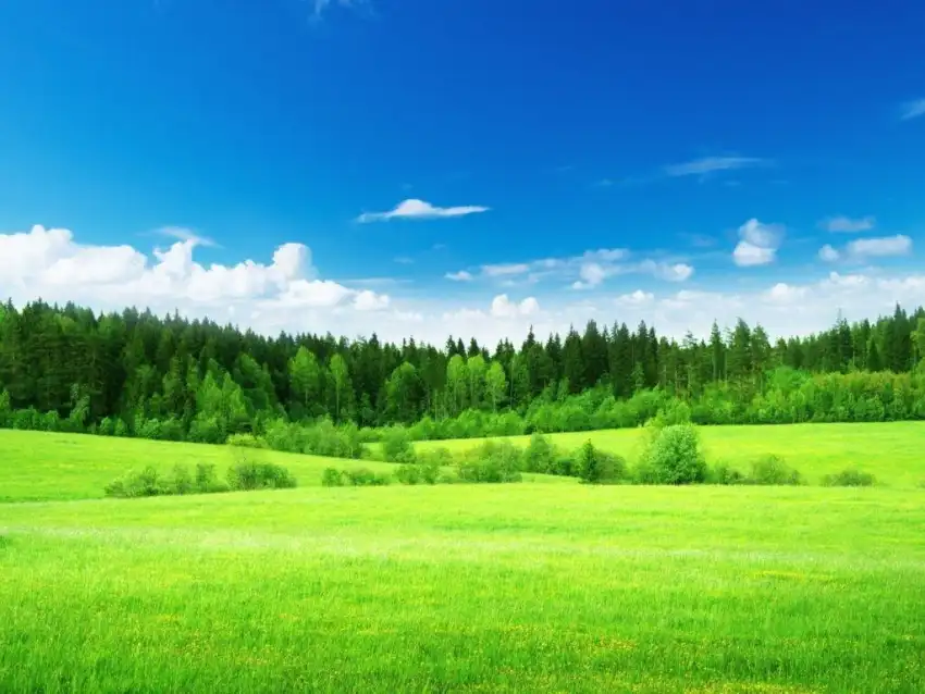 Open Green Sky Field Background Wallpaper HD Download