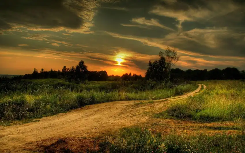 Open Green Sky Field Background Wallpaper HD Download