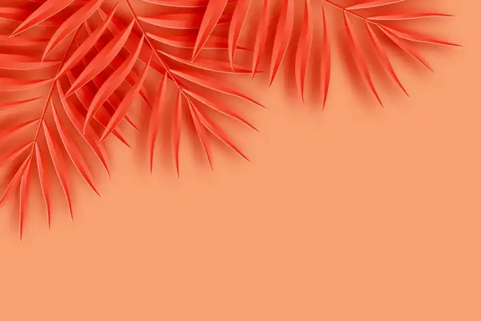 Orange Pastel Background HD  Images