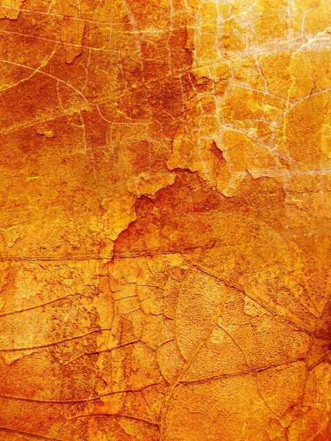 Orange Texture HD Background Wallpaper