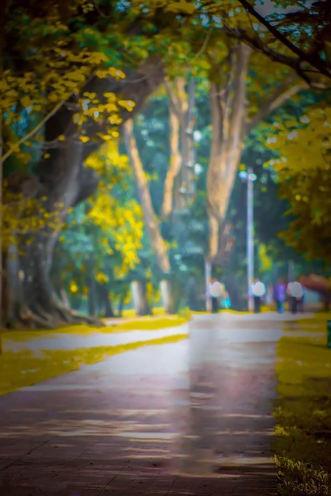 Outdoor Road CB Background Full Hd